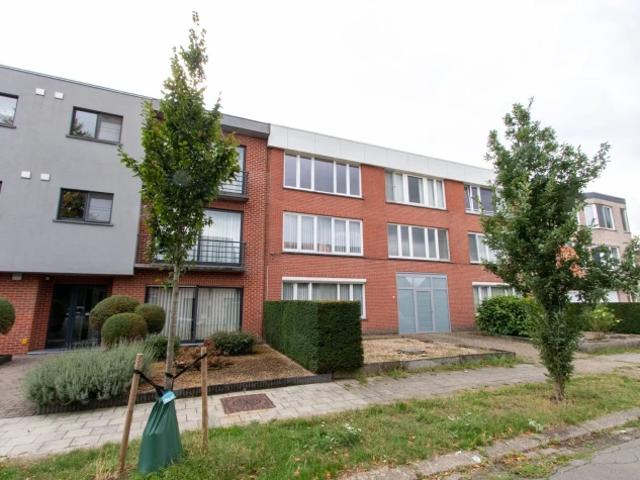 Appartement location à Wijnegem