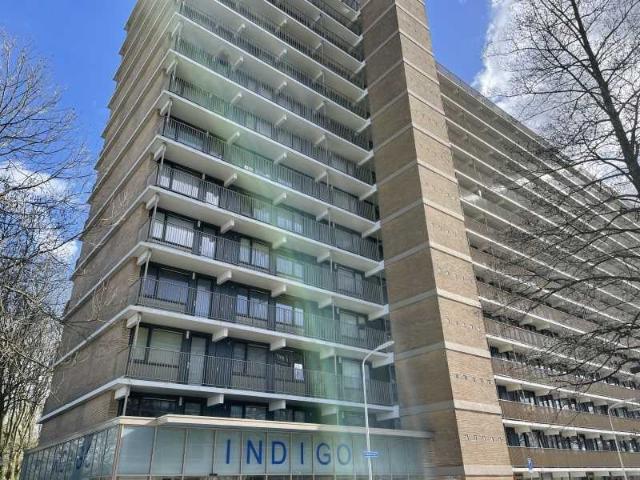 Appartement te huur in Olland, Noord Holland