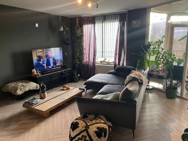Appartement te huur in Olland, Noord Holland