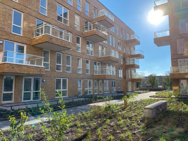Appartement te huur in Zaanstad