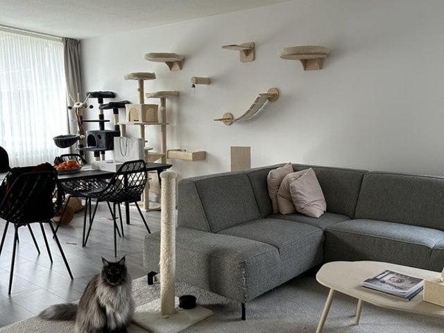 Appartement te huur in Olland, Zuid Holland