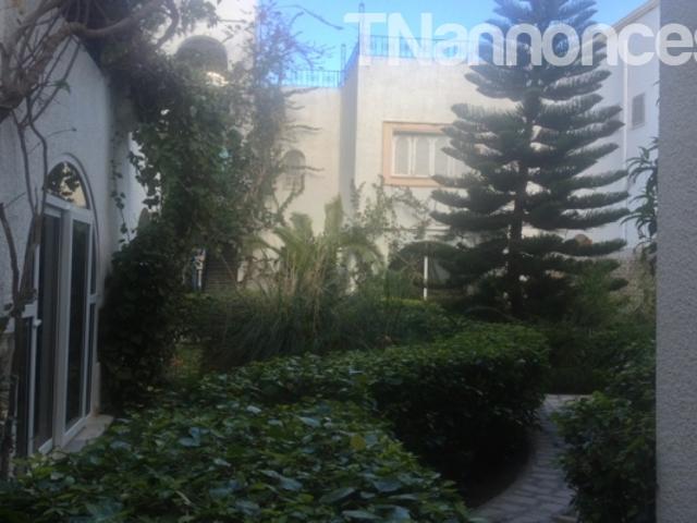 Appartement location