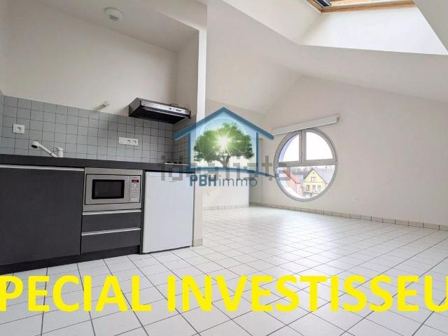 Appartement vente à Ingwiller, Collectivité européenne d'Alsace