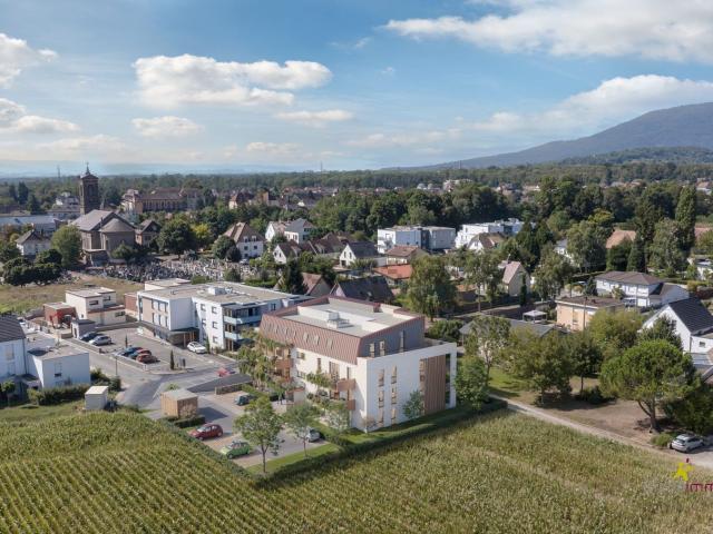 Appartement vente à Issenheim, Collectivité européenne d'Alsace