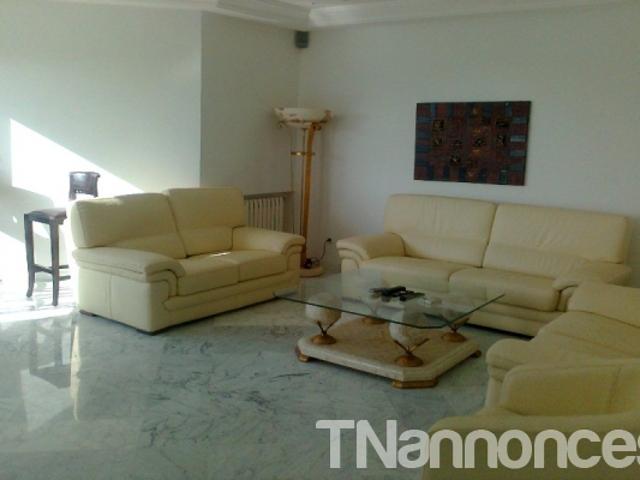 Appartement location