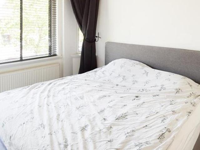 Appartement te huur in Bezuidenhout, Zuid Holland