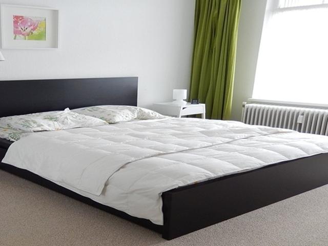 Appartement te huur in Waldeck, Den Haag