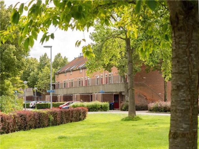 Appartement te huur in Kamp, Lelystad