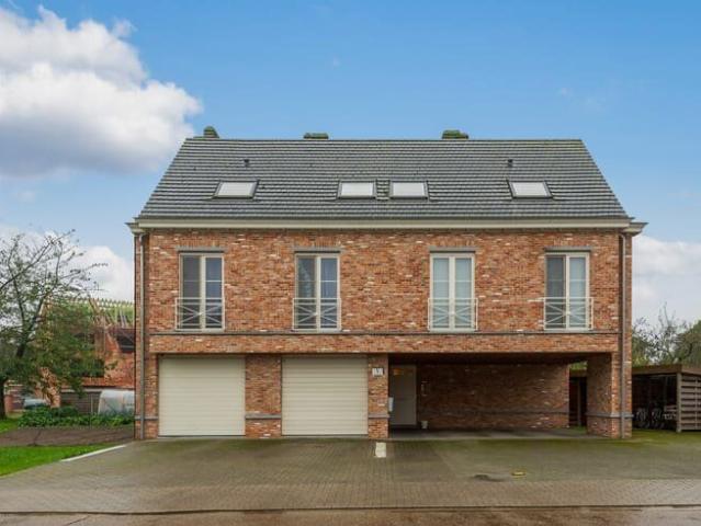 Kot location à Kasterlee, Antwerpen