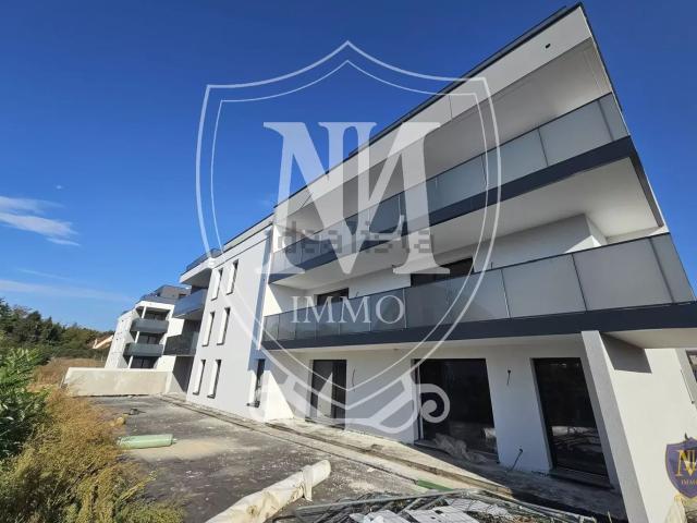 Appartement vente à Kembs, Collectivité européenne d'Alsace