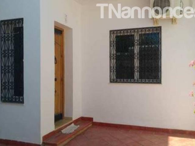 Appartement vente