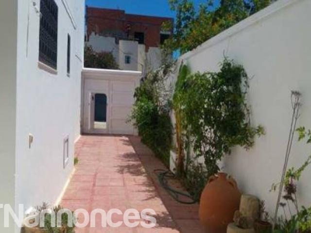 Appartement vente