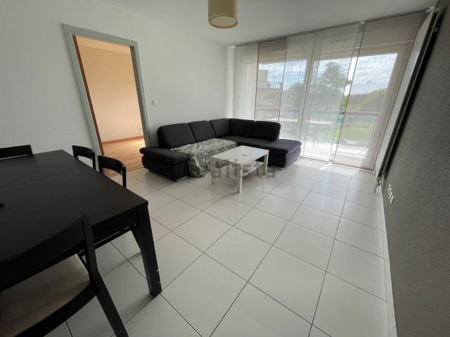 Appartement location à Kingersheim, Collectivité européenne d'Alsace