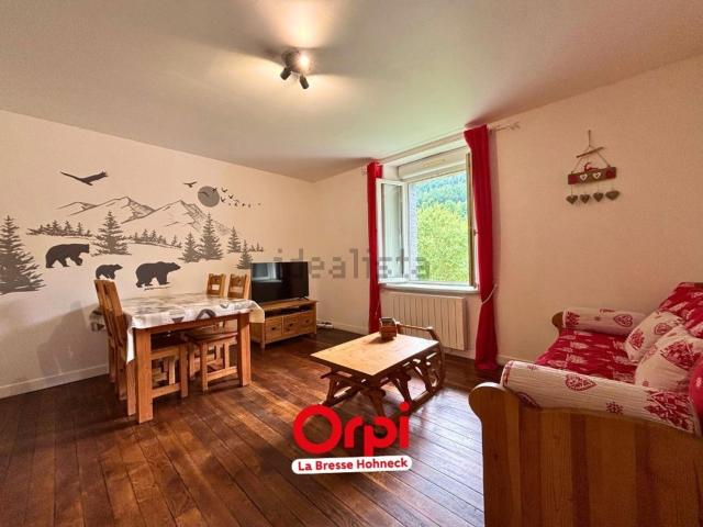 Appartement vente à Moyenmont, La Bresse