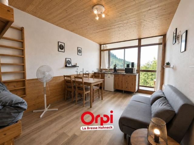 Appartement vente à La Bresse, Vosges