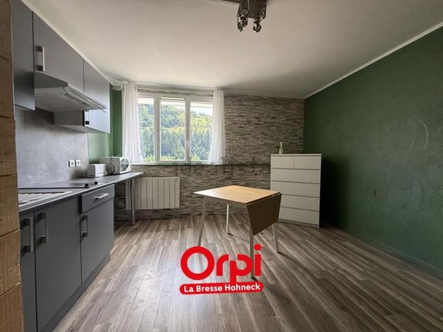 Appartement vente à La Bresse, Vosges