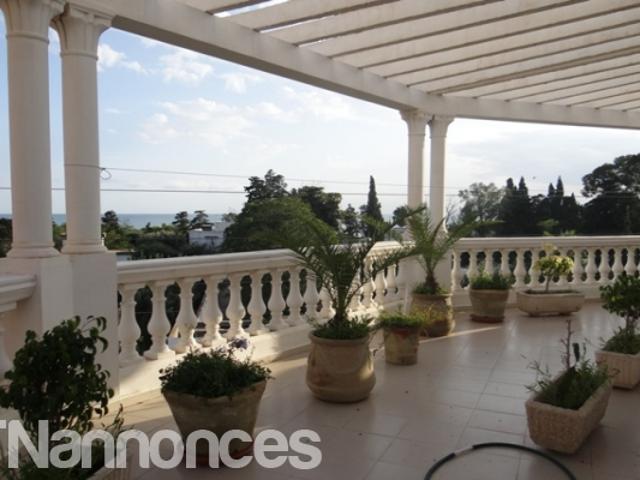 Appartement vente