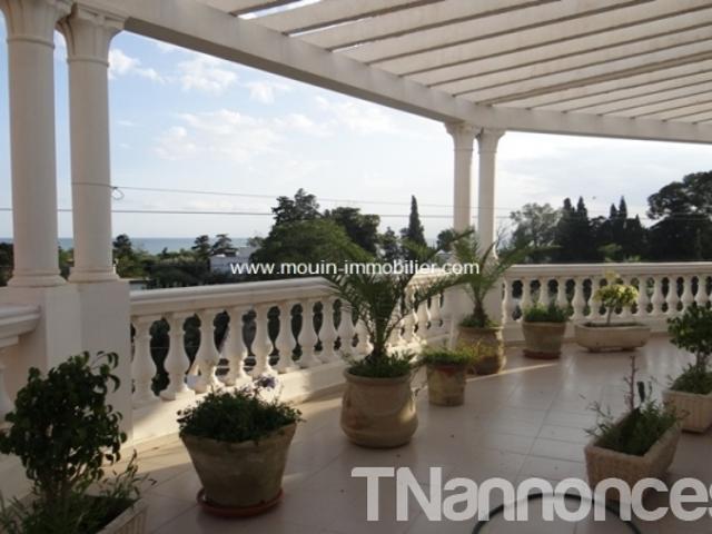 Appartement vente