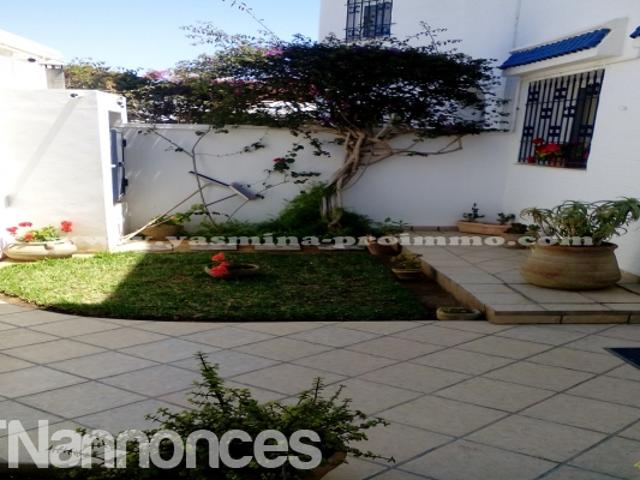 Appartement vente