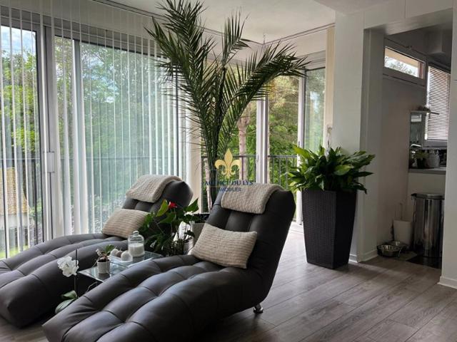 Appartement vente à Lamorlaye