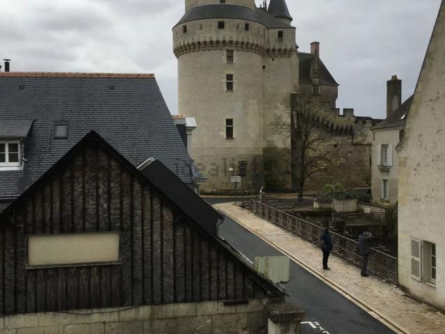 Appartement location à La Douve, Langeais