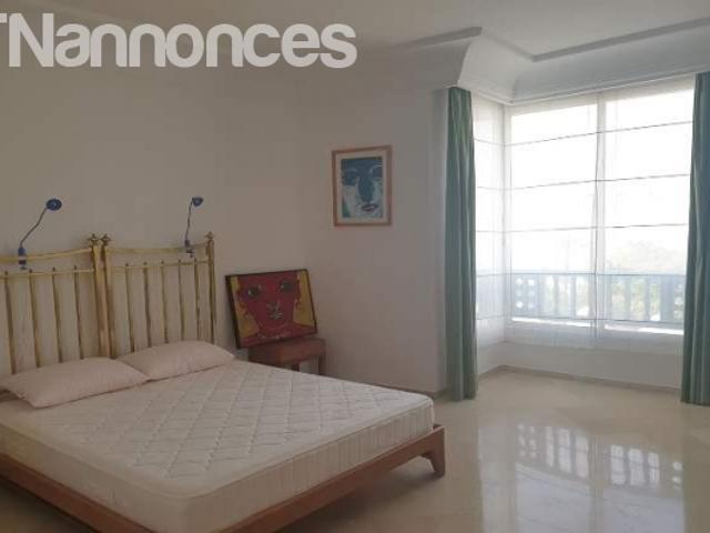 Appartement location