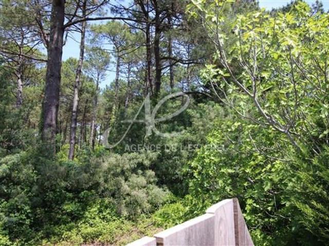Appartement vente à Claouey, Lège-Cap-Ferret
