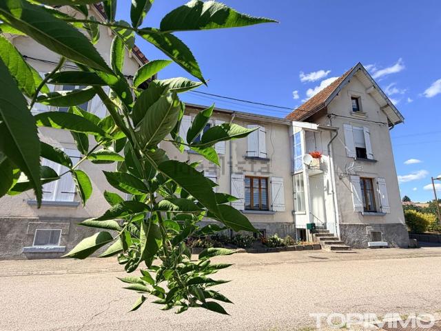 Appartement vente à Lépanges-sur-Vologne, Vosges