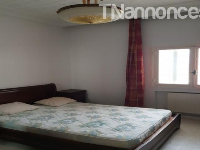 Appartement vente