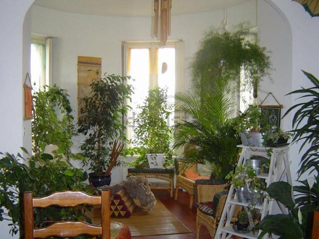 Appartement vente à Lézignan-Corbières