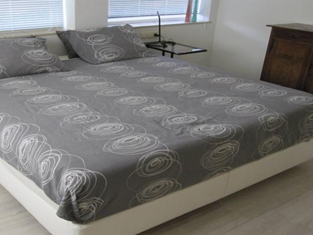 Appartement te huur in Oostpoort, Haarlem