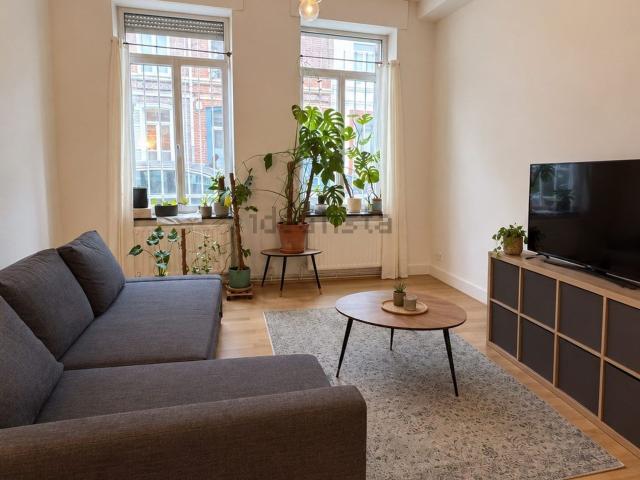 Appartement location à Lille