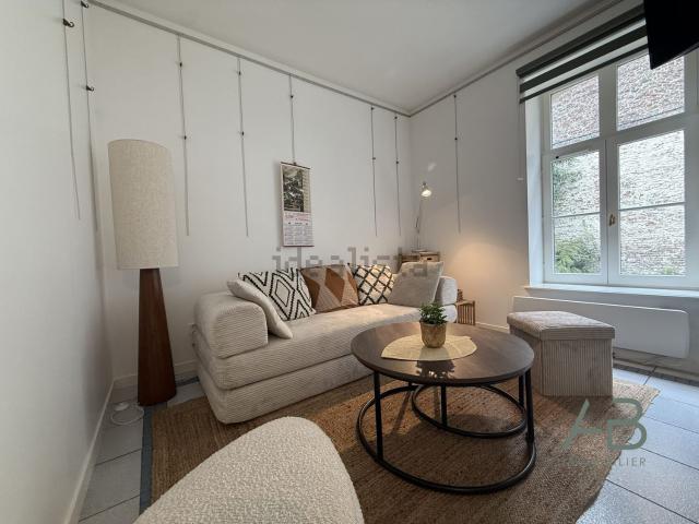 Appartement location à Lille