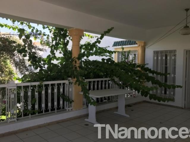 Appartement vente