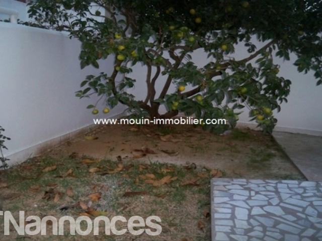 Appartement vente
