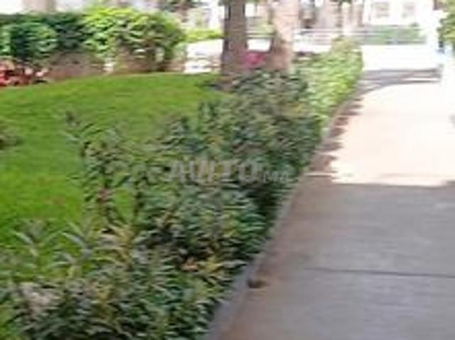 Appartement location