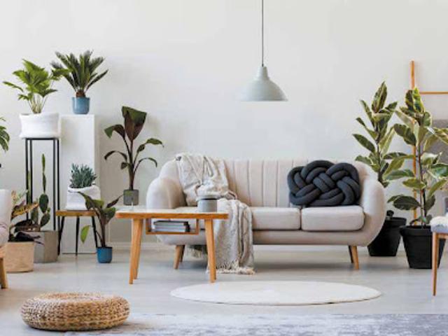 Appartement vente à Dax, Magescq