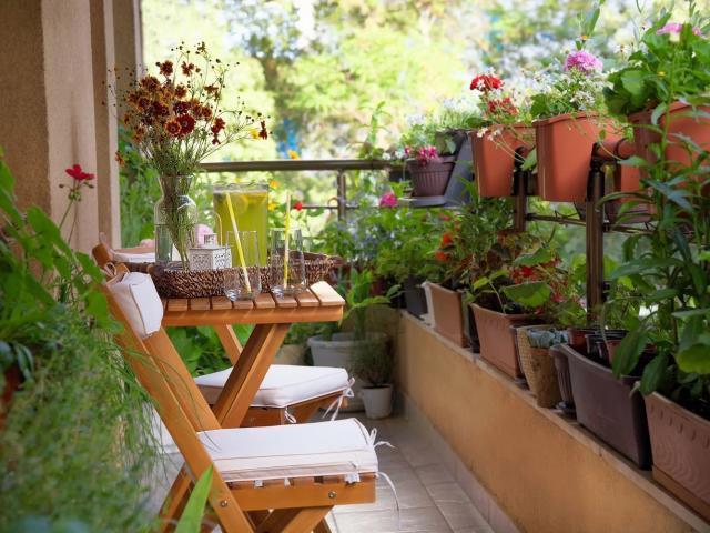 Appartement vente à Les Juilliottes, Maisons-Alfort