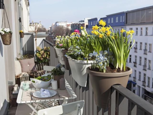 Appartement vente à Les Juilliottes, Maisons-Alfort