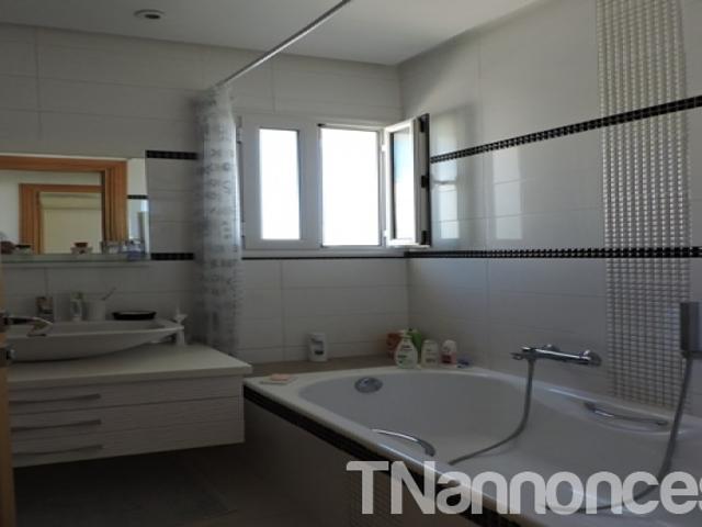 Appartement vente