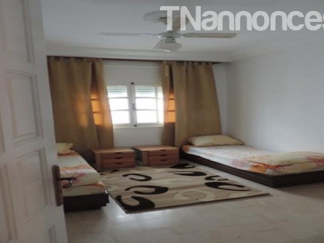Appartement vente