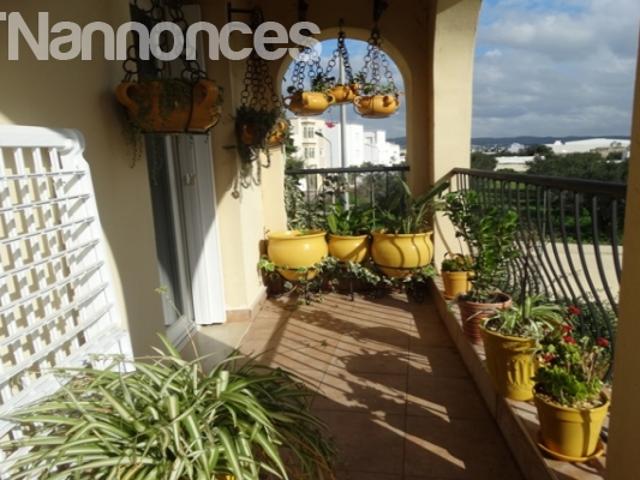 Appartement vente