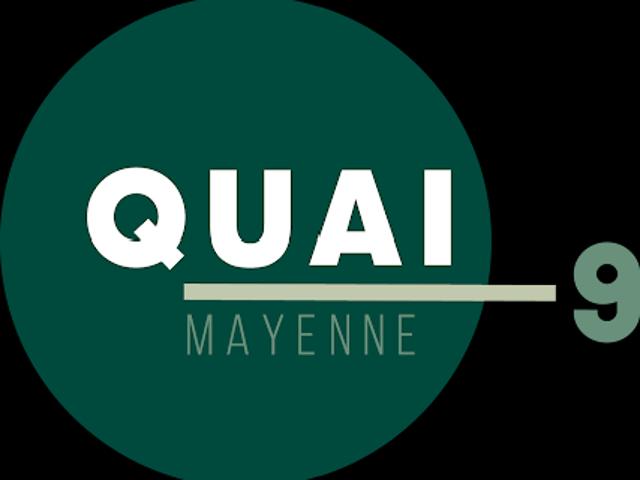 Appartement vente à Mayenne
