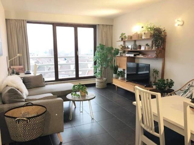 Kot location à Desteldonk, Oost-Vlaanderen