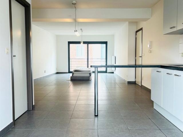 Appartement location à Hamme, Oost-Vlaanderen
