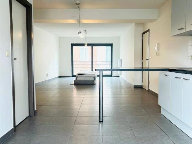 Appartement location à Hamme
