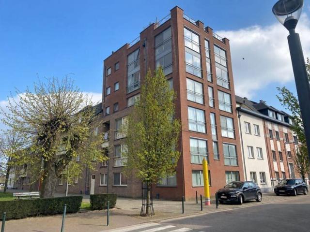 Appartement location à Liezel, Antwerpen