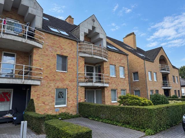 Appartement location à Westerlo