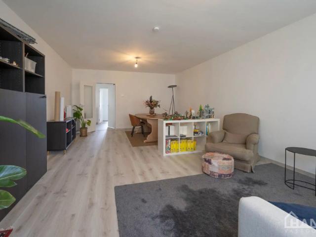 Appartement location à Schoten