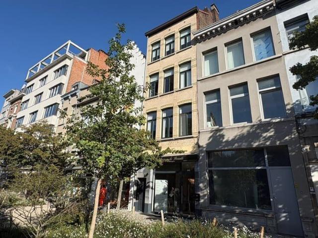 Kot location à Antwerpen